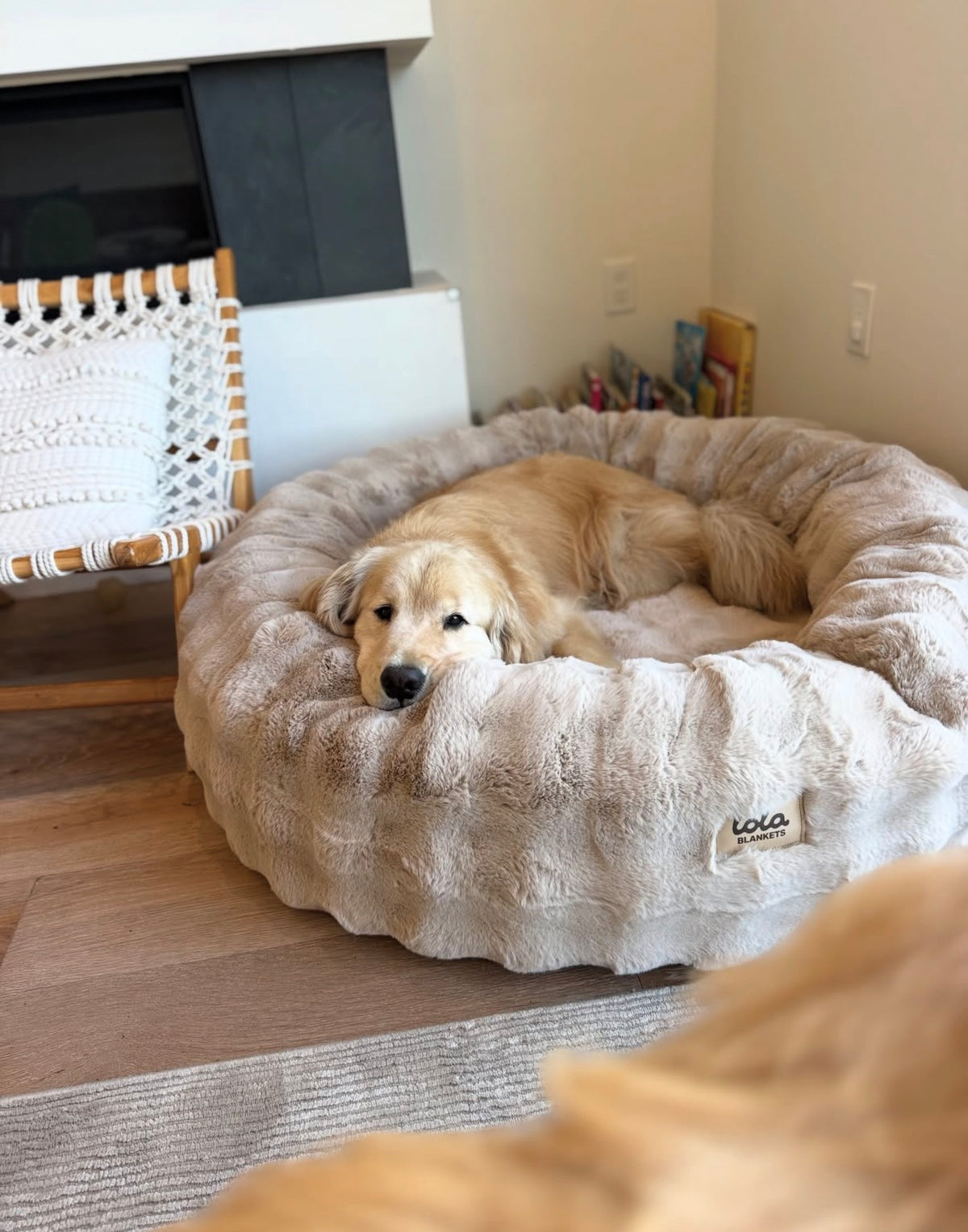 Happy Paw CloudNest™ Bed